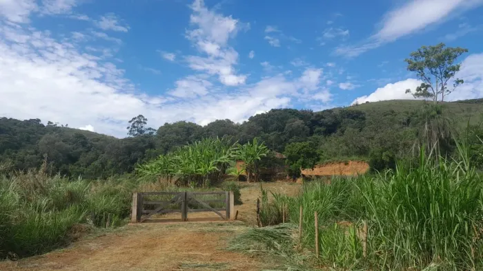 Chacara com 5 hectares