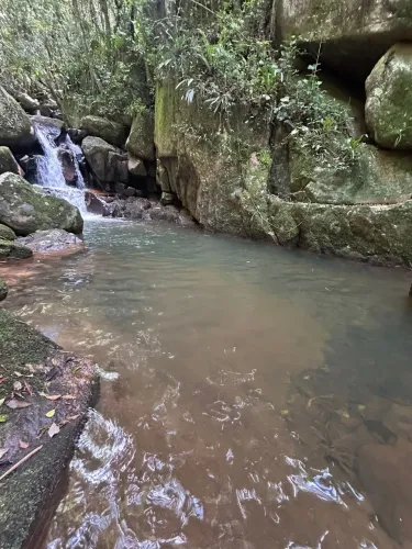 TERRENO PARA PESSOAS VISIONÁRIAS | 440 m² | NATUREZA | RIO TAVARES 320 MIL.