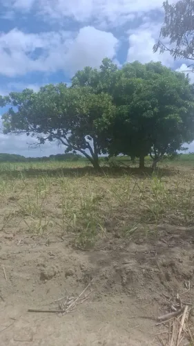 Vendo ou troco casa e chácara próximas a Maceió.