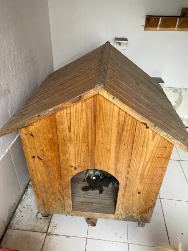 Casa cachorro