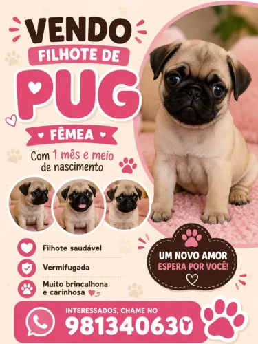 Cachorro
