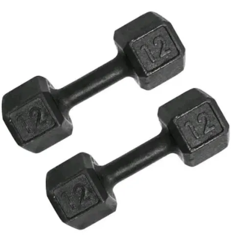 Par de alter 12 kg