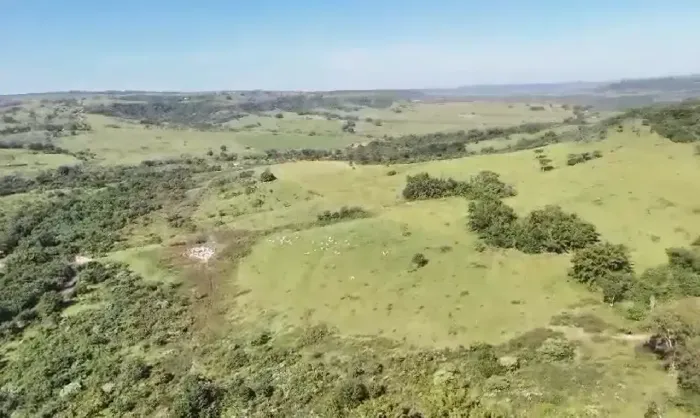 Fazenda a venda em SP. CENTRO OESTE.