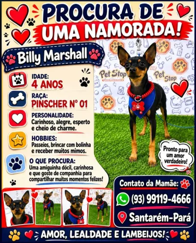 Procura Uma Namorada 