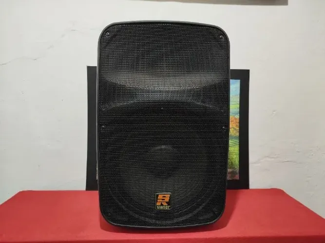 STANER SR315A - Caixa Ativa 15 Pol. 2 Vias 300WRMS Bluetooth - POUCO USO PARTICULAR