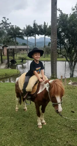 Vendo pônei