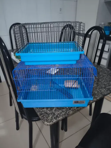 Gaiola para hamster