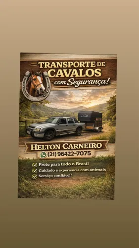 Transporte de cavalos Helton Carneiro