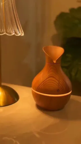 Umidificador e aromatizador de ambientes 