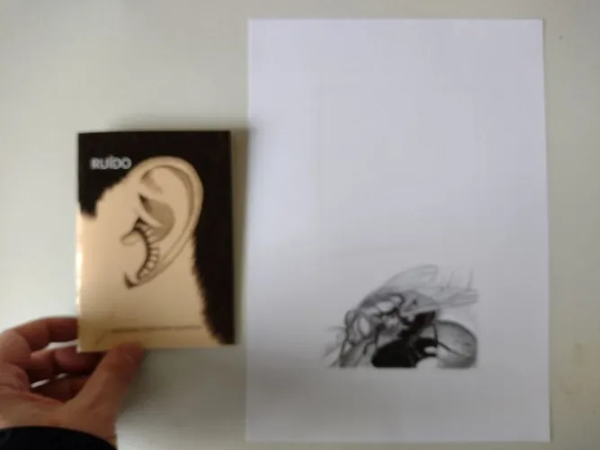 Combo livro ruído+arte (A4) original (2)