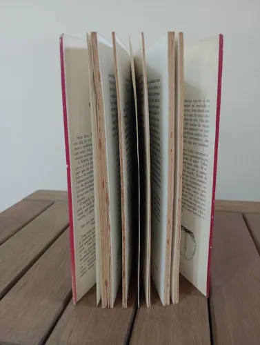 Livro WE - A Chave da Psicologia do Amor Romântico