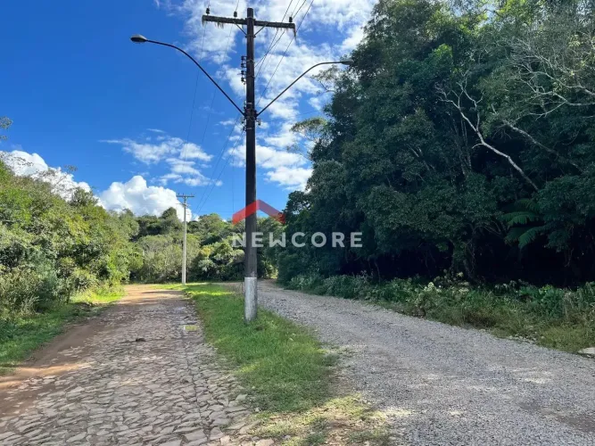 Lote em Avenida Chimangos - Colinas - São Francisco de Paula/RS