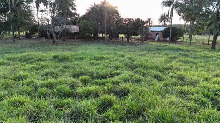 Chácara de 5,5 Hectares no Jaraguari Região do Bomfim!