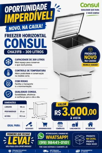Freezer cônsul 309 L