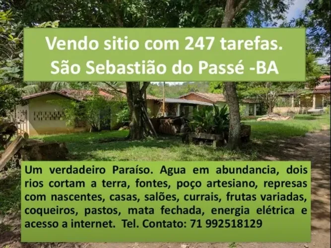 Vendesse Fazenda com Casas, Curral, Represas, Nascentes, Toda Cercada e Dividida.