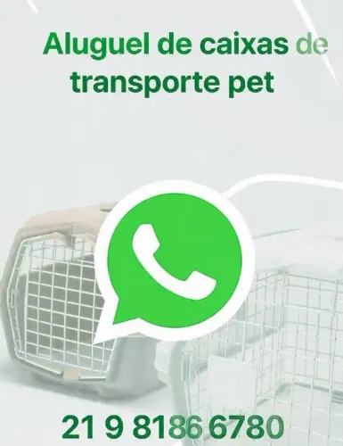 Aluguel de caixas de transporte pet