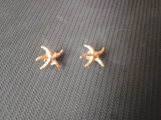 Lindo par de brincos ROMMANEL ESTRELA DO MAR