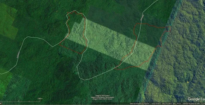 Fazenda eTerras para compensação ambiental ou Crédito de Carbono no Paraná 117,5 hectares