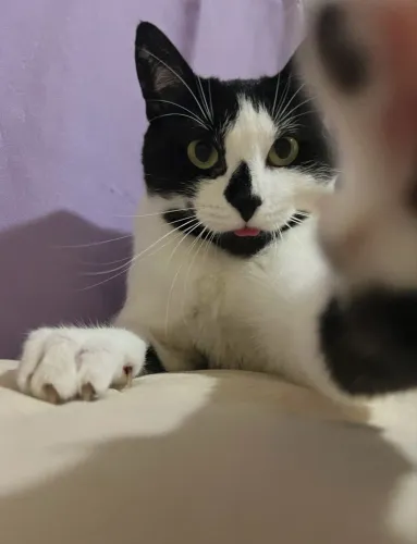 Doação 