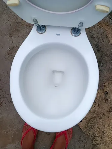 Vendo esse vaso usado pouco tempo acoplado completo 