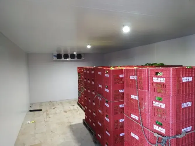 Câmara Fria para Açougue, Mercado e Hortifruti