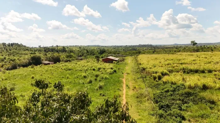 Fazenda