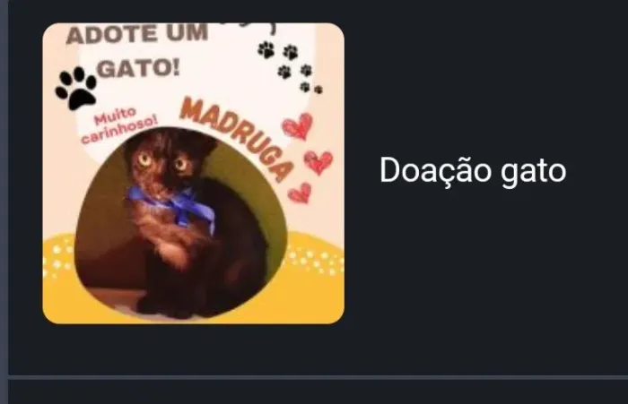 Gata doar