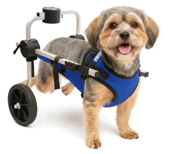 CADEIRA DE 2 RODAS TAMANHO P PARA CACHORROS COM BAIXA MOBILIDADE