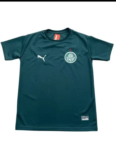 Camisa do Palmeiras
