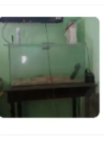 Aquário de 70 por 40 por 30 