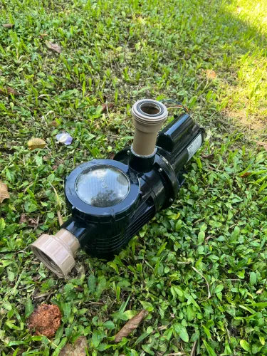 Bomba d?água Dancor para piscina - 1 cavalo - 127 V