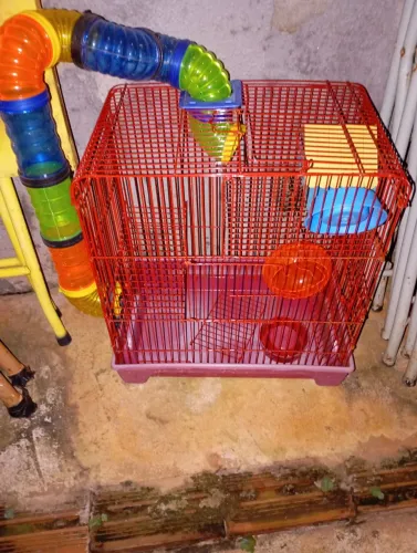 Gaiola para Hamster ?