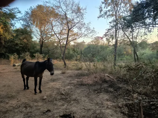 VENDO TERRENO CENTRO DE FUNILÃNDIA