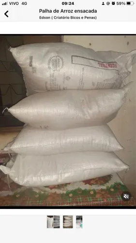 Palha de arroz ensacada