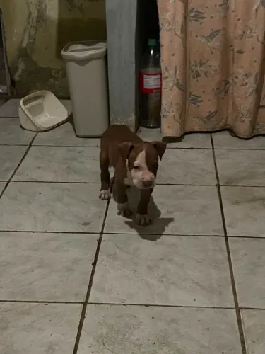 Pit monster