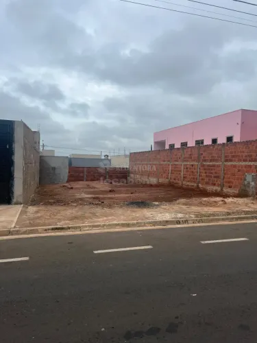 Terreno Padrão em São José do Rio Preto