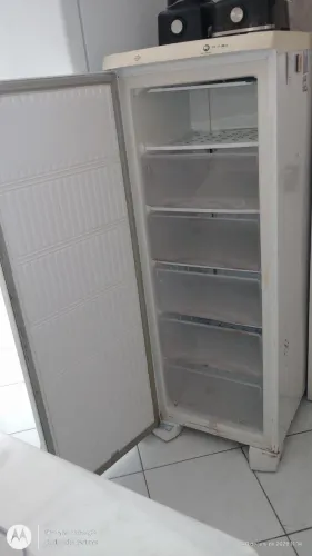 Freezer vertical Electrolux fe 22 super