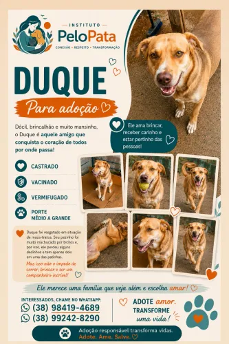 Adote