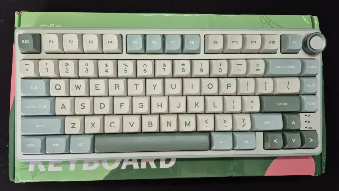 Teclado Royal Kludge RK75 - Somente Fio 