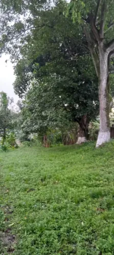 Terreno - área venda 72/13