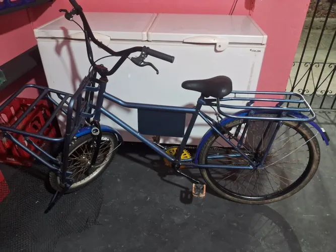 Bicicleta cargueira
