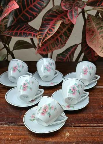 6 xicaras de cafe Pozzani
