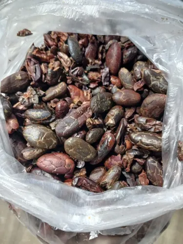 Nibs de Cacau selecionados - 500g