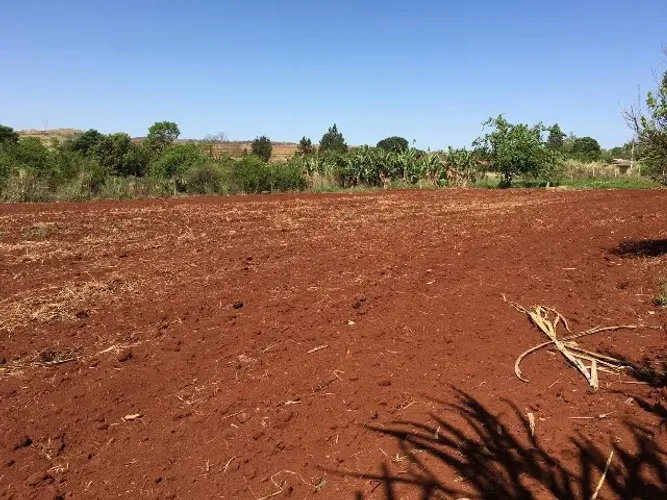 ? OPORTUNIDADE! CHÁCARA recanto Fazenda Nata ESCRITURADA EM LONDRINA - R$ 380.000 ?
