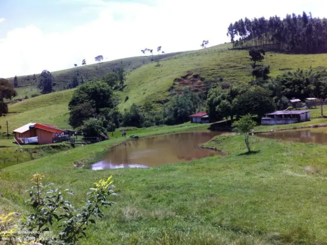 FAZENDA EM PIRACAIA PRÓXIMO DA REPRESA E COM PRODUÇÃO DE EUCALIPTO