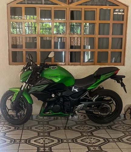 Kawasaki Z 300 2016