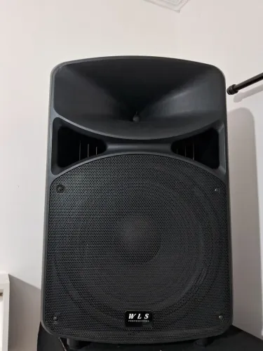 Caixa ativa de 15"