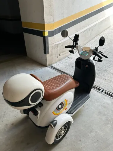 Triciclo Elétrico NOVO Gotrix (modelo: MAYA) 650 W