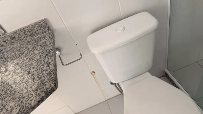 Vaso sanitário com tampa ! 