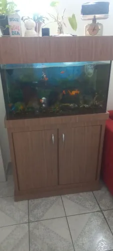Aquário com gabinete e decoração